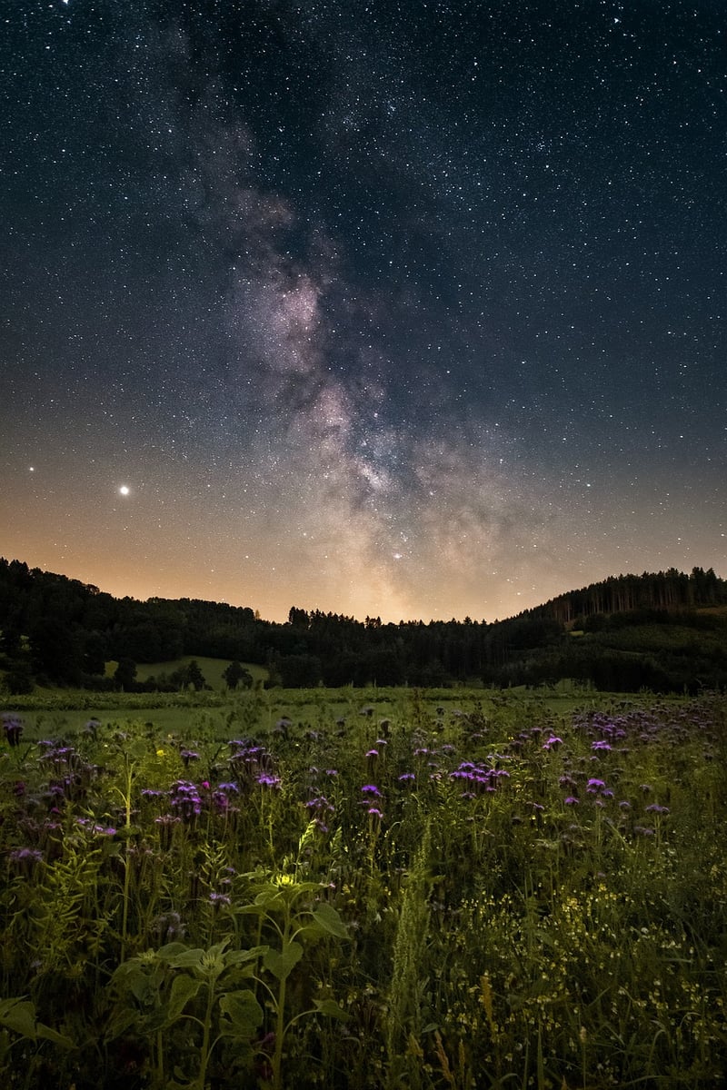 Galactic Surveys